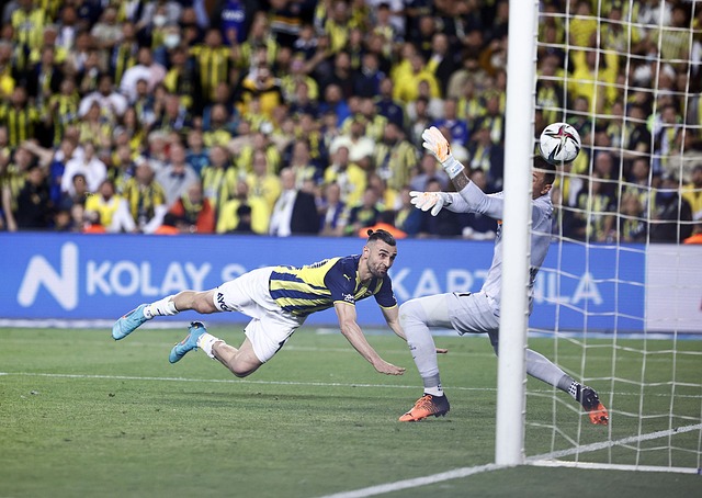 是在这些细 是在这些细