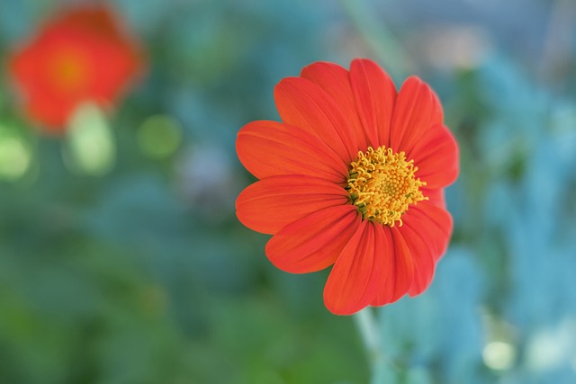 地进行时 地进行时