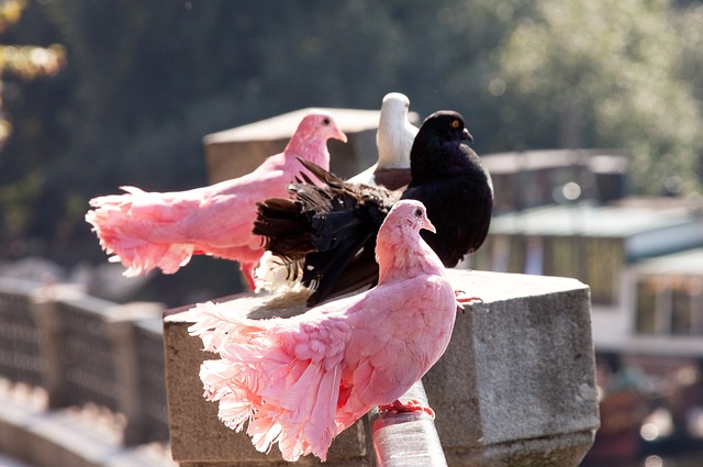 需要时间 需要时间