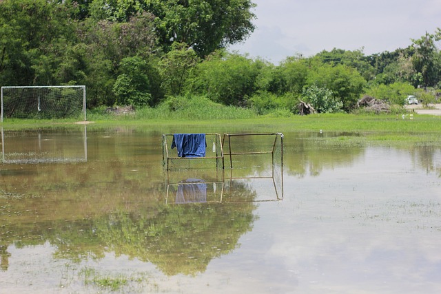 一度领先 一度领先
